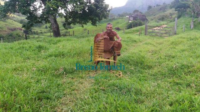 Fazenda á 62KM de Eunápolis - Foto 17