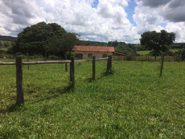 Fazenda 70 alqueires em Anicuns muito boa!!! - Foto 16