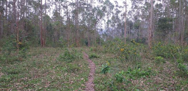 ? vendo sítio 26 ha salete / sc ? - Foto 4