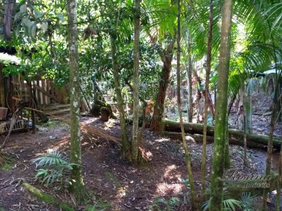 Chácara à venda, 1180 m² por r$ 120.000 - américa de cima - morretes/pr - Foto 16