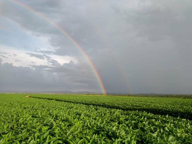 Fazenda em Santa Maria das barreiras-Pa - Foto 3