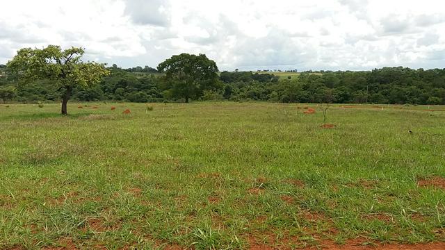 Lotes a Prestação no Bairro Planejado Benjamin em Hidrolândia - Foto 8