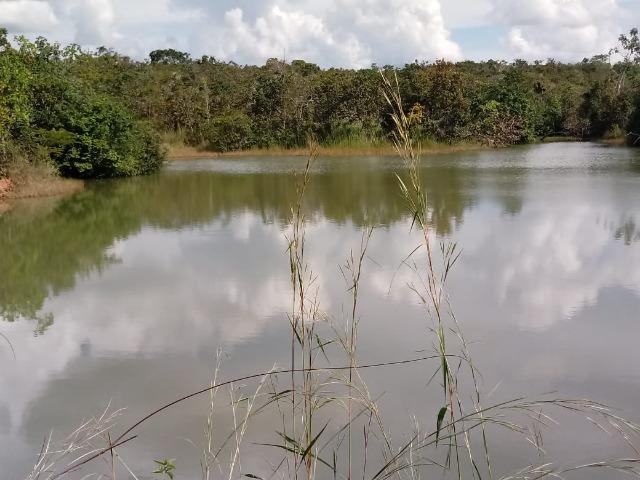 Fazenda no Mato Grosso em Rosário Oeste com 784 Hectares - Foto 2