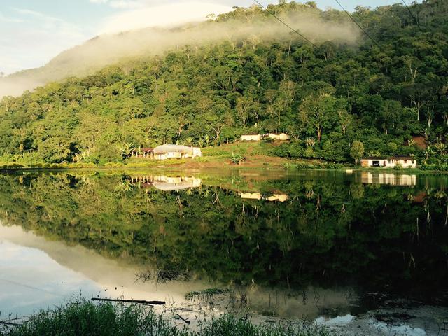 Fazenda de Cacau em Barro Preto BA - Foto 4