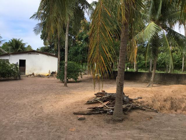 Sol 22 - Excelente Granja sendo 6385m² no Centro - São José de Mipibu - RN - Foto 14