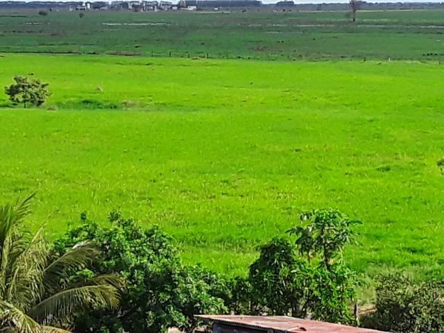 Fazenda 180 alqueires Linhares - Foto 4