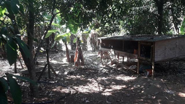 Vendo chácara na serra - Foto 16