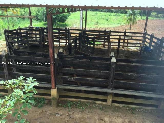 Fazenda para Venda, Itaguaçu / ES, bairro Distrito de Itaçu - Foto 9