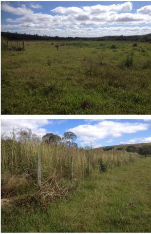 Fazenda 211 Hectares - Foto 4