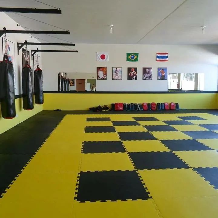 Tatames em Goiânia  - Foto 5