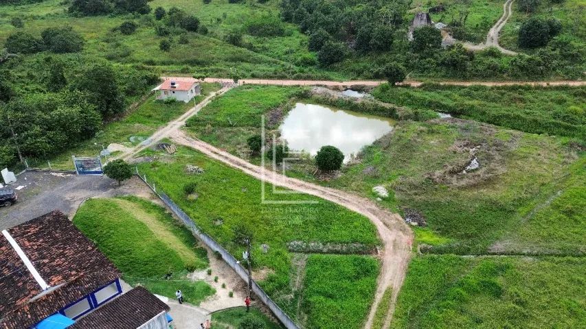 Fazenda completa em Flexeiras com ótima casa sede e 30 hectares - Foto 2