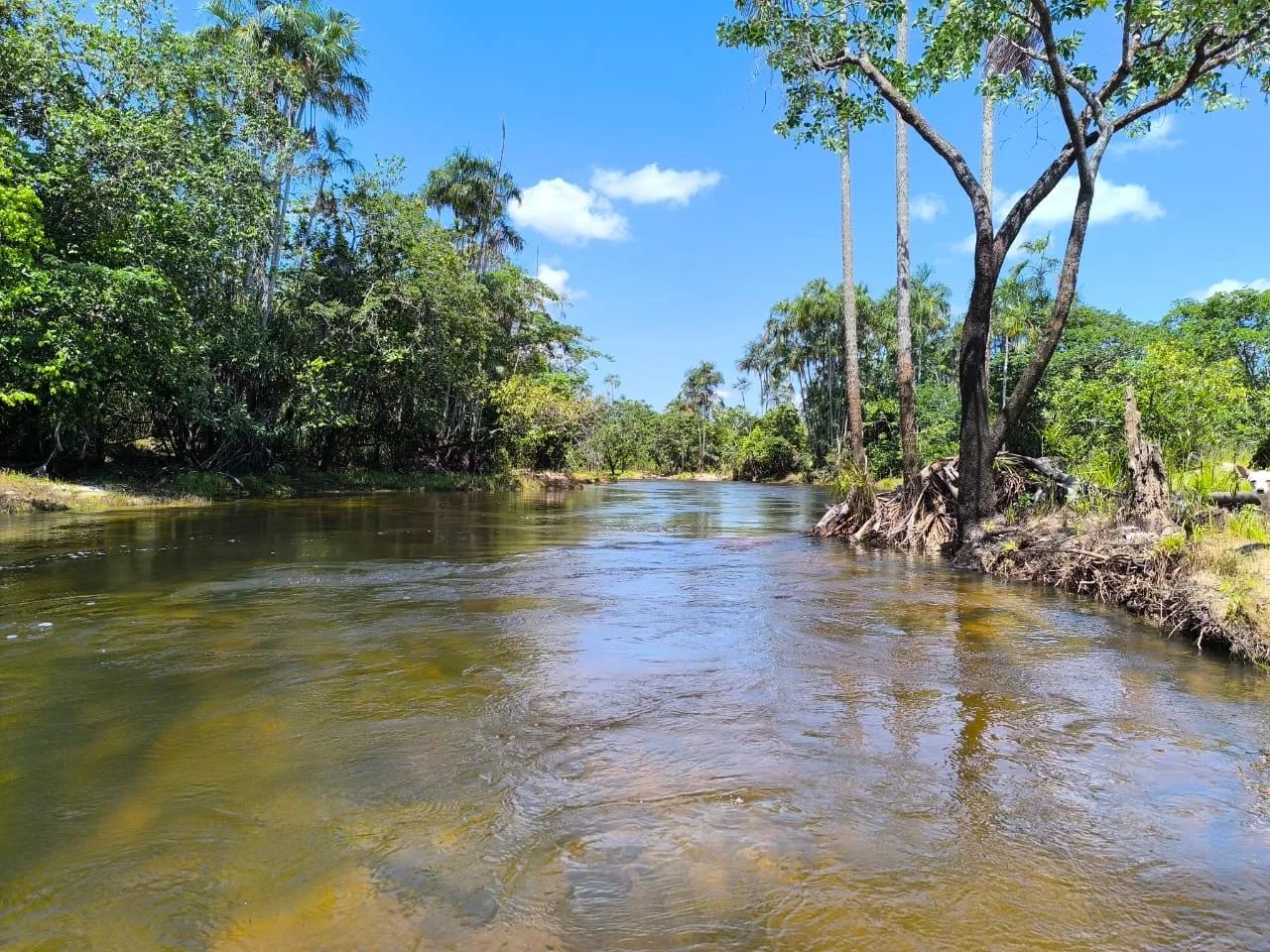 foto - Boa Vista - Caranã