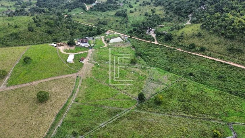 Fazenda completa em Flexeiras com ótima casa sede e 30 hectares - Foto 4