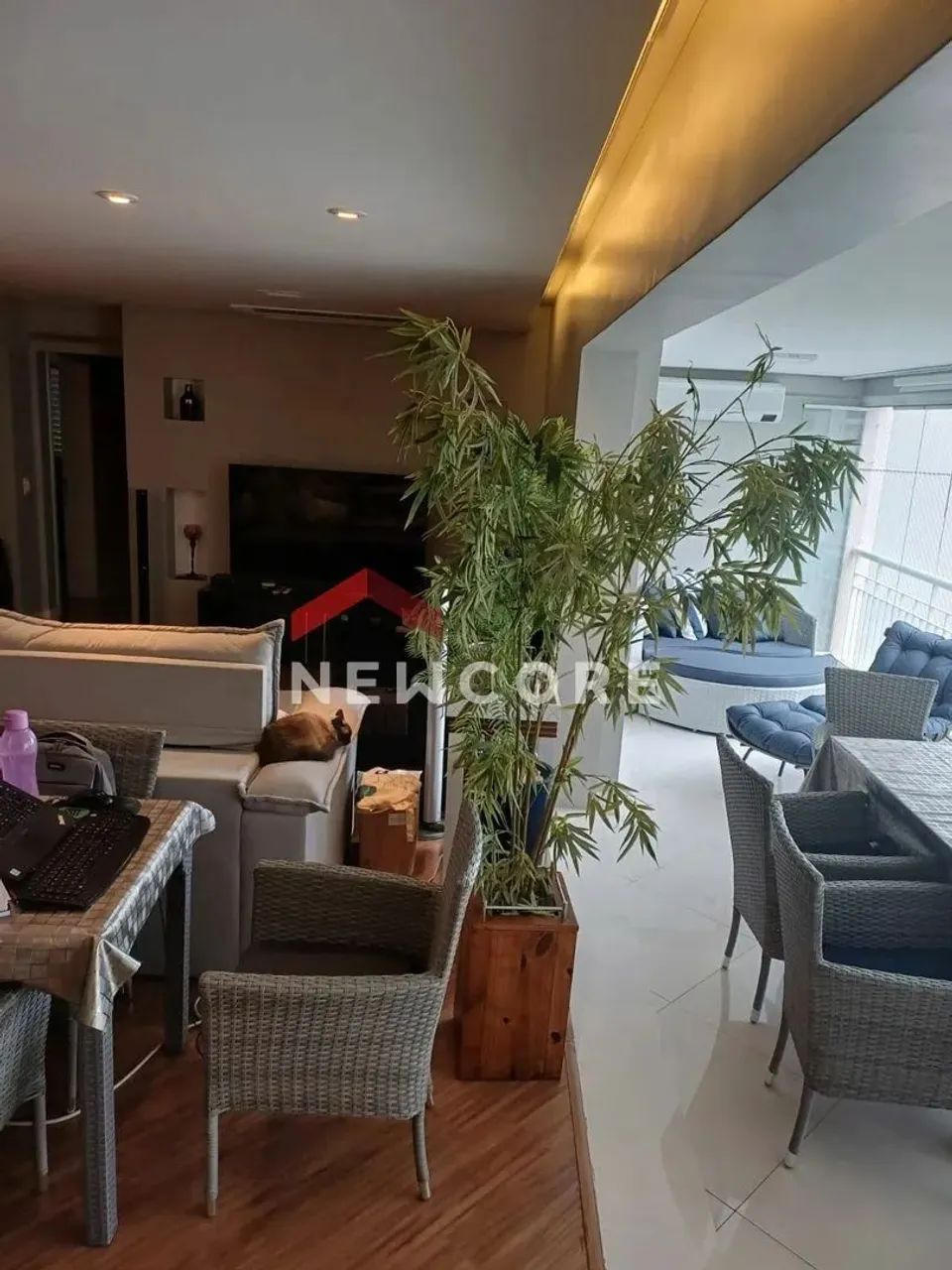 Apartamento em Rua Professor Dorival Dias Minhoto - Lauzane Paulista - São Paulo/SP - Foto 2