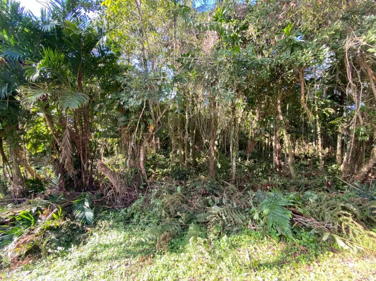 Vendo ou troco terreno em Itanhaém para chácara com 6.990mt2 - Foto 3