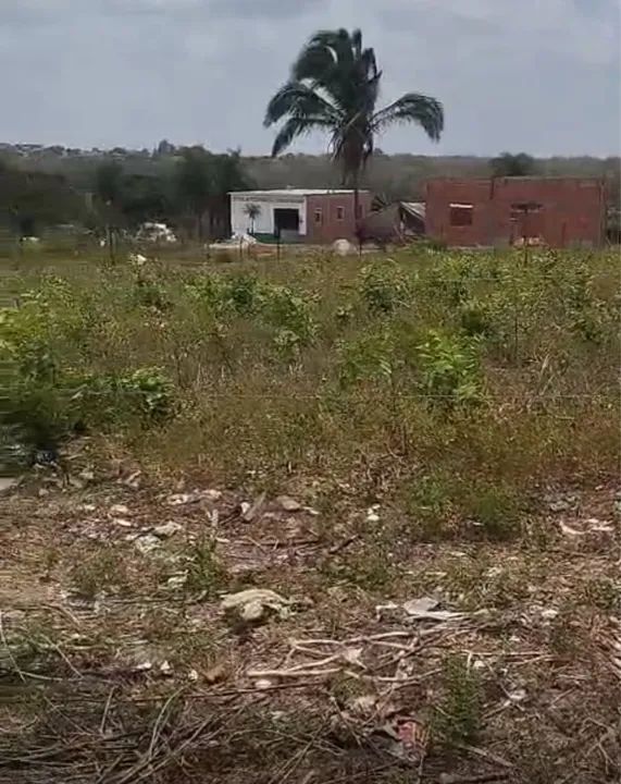 Terreno no Gapara loteamento no residencial Luís bacelar  - Foto 2