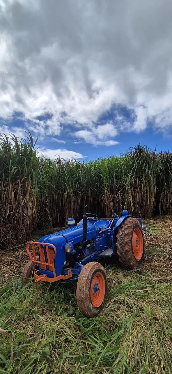 Trator agricola Ford Dexta  - Foto 3