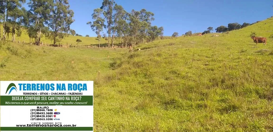 Terreno em Crucilândia / MG, 97 mil metros com mina e nascente todo formado - Foto 2