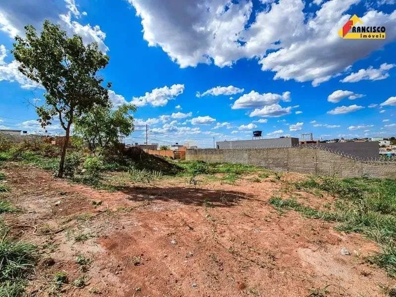 Lote à venda, Santa Rosa - Divinópolis/MG - Foto 4