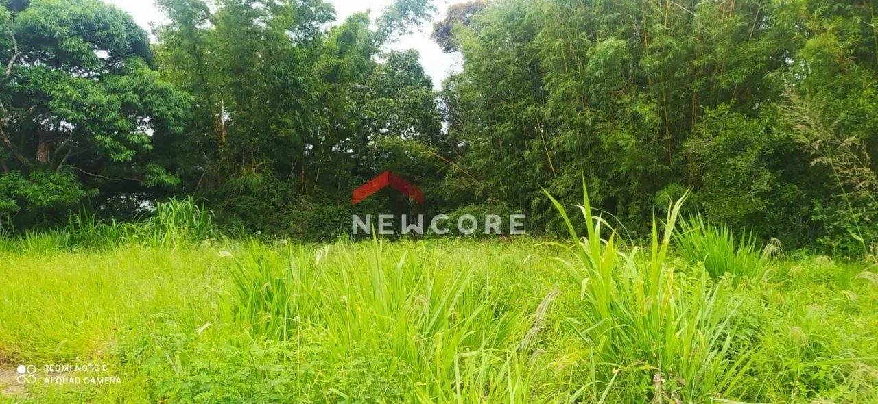 Lote em Rua 41227 - Ibiraquera - Imbituba/SC - Foto 2