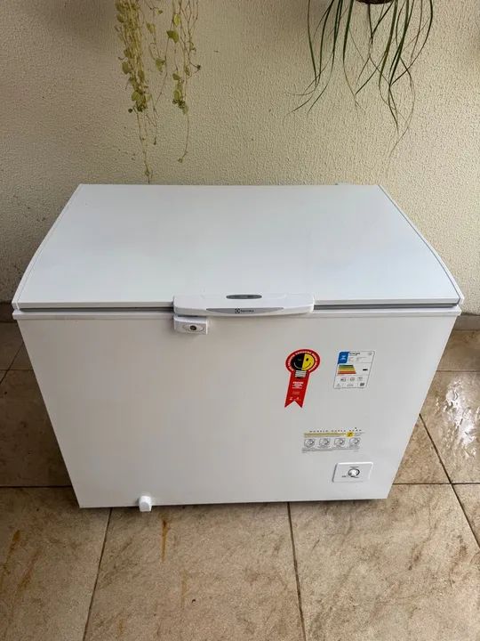 Freezer Eletrolux 314 litros 