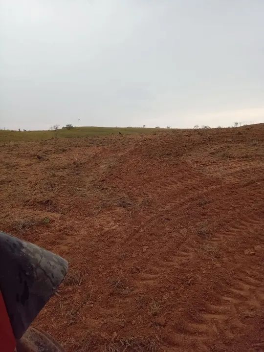 ARRENDO 10HEC PRA GADO OU IRRIGAÇÃO, EM LAGAMAR!! - Foto 3