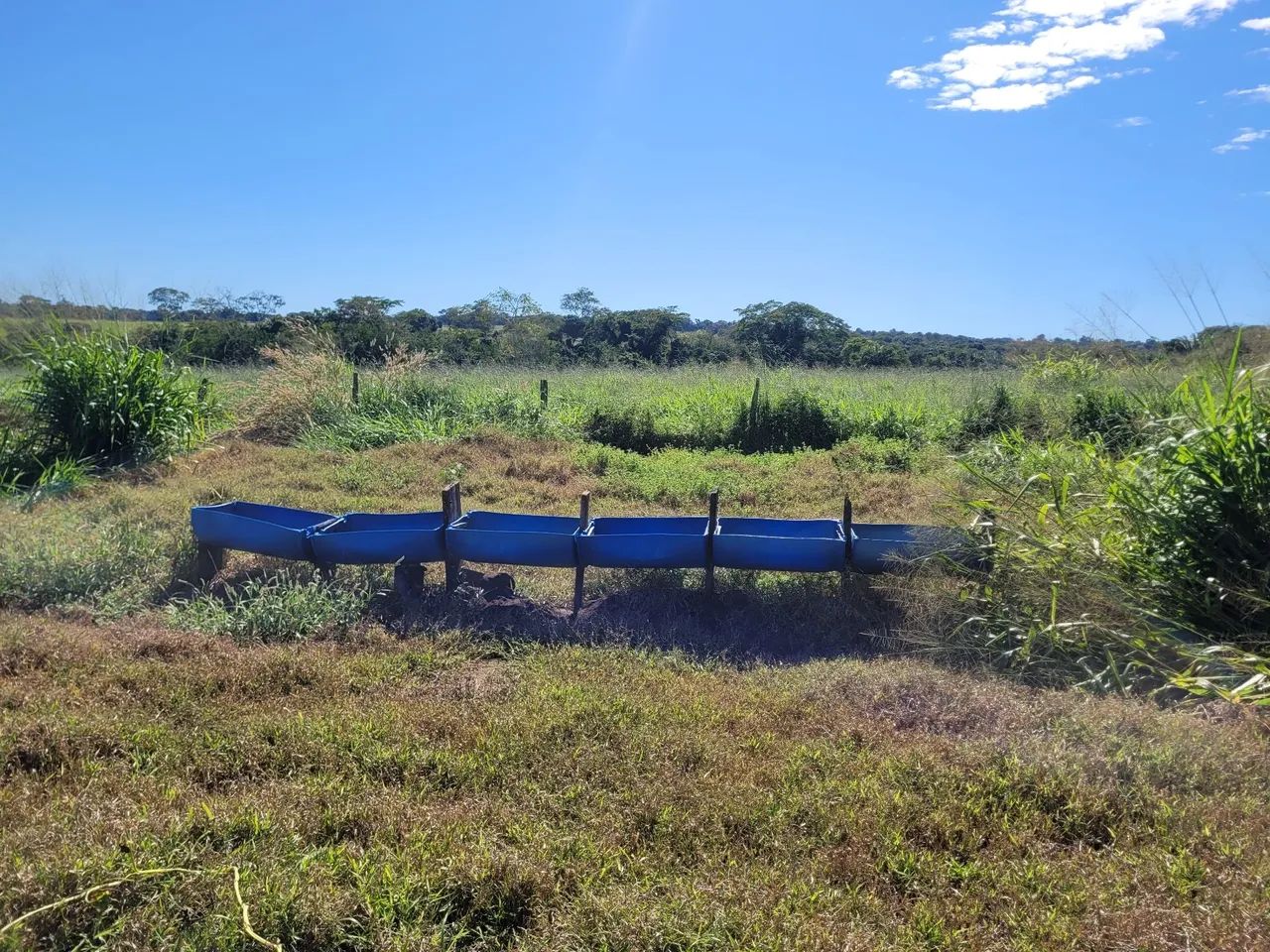 Área em Coxim, venda ou arrendamento. - Foto 4