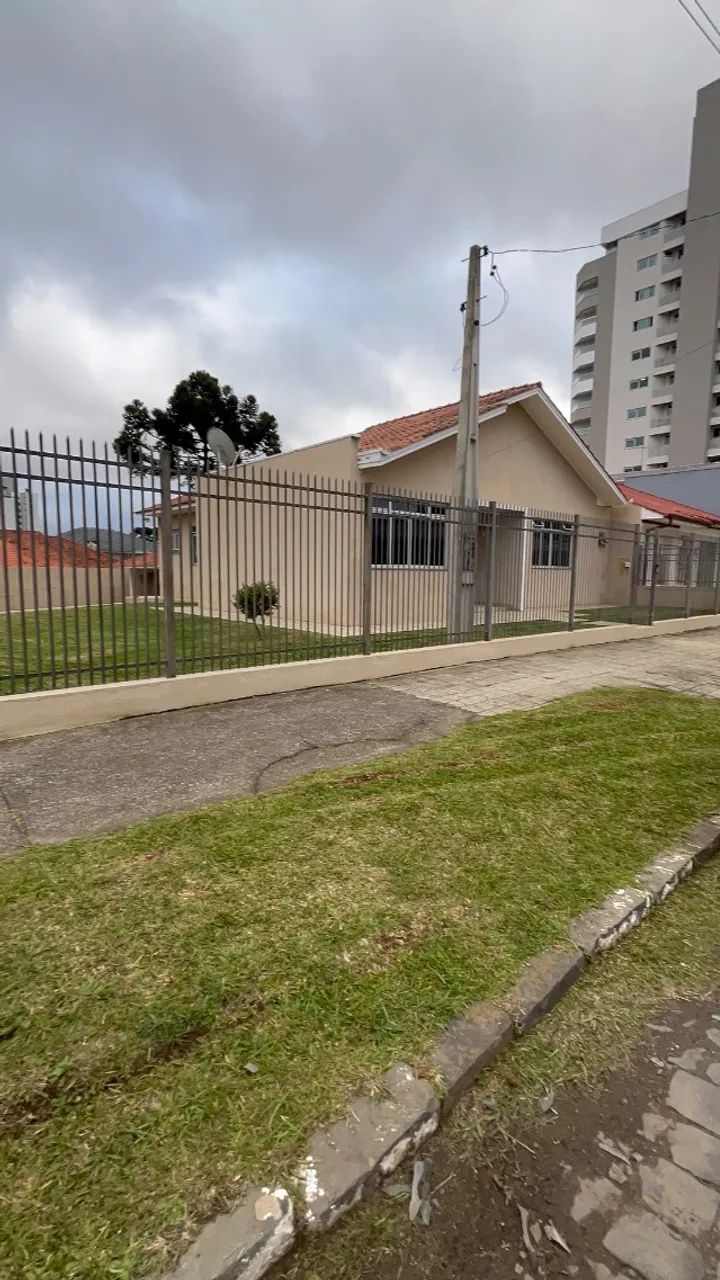 Jardineiro  - Foto 4