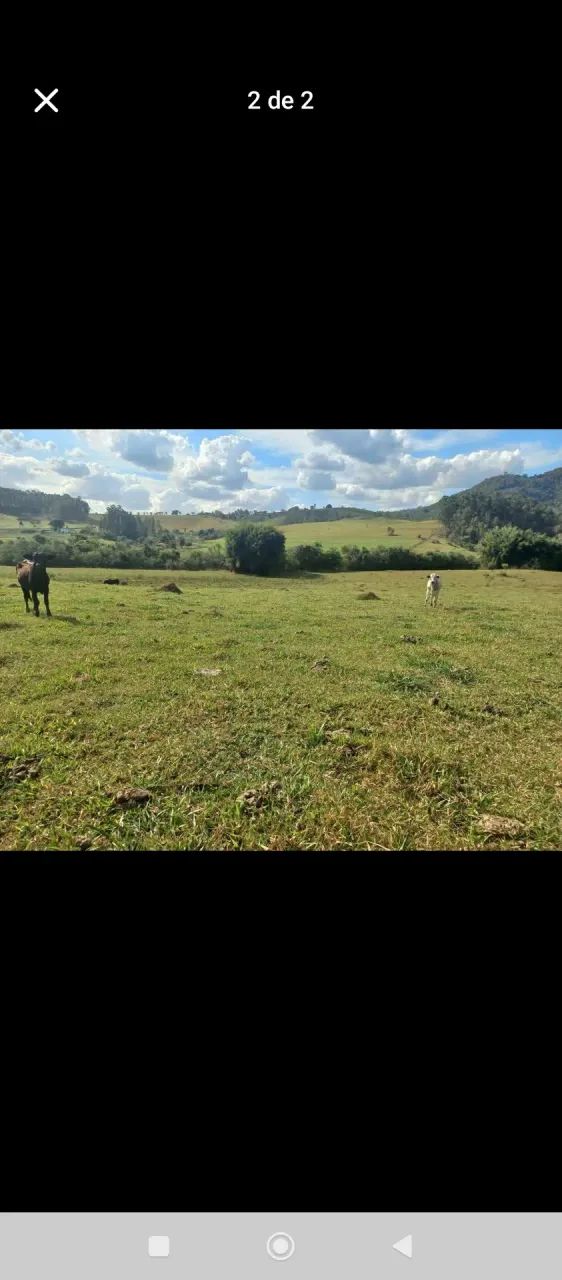 lindo sitio em Caconde sp - Foto 5