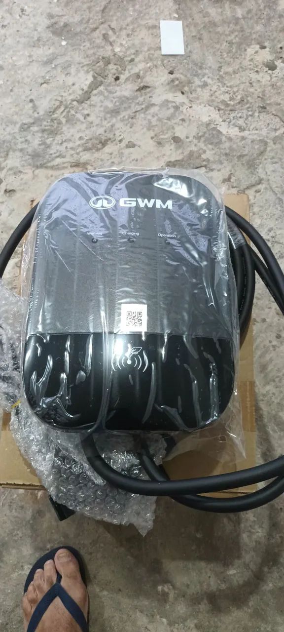 Carregador de carro elétrico GWM*( leia o anúncio)