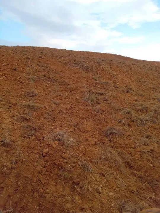 ARRENDO 10HEC PRA GADO OU IRRIGAÇÃO, EM LAGAMAR!! - Foto 4