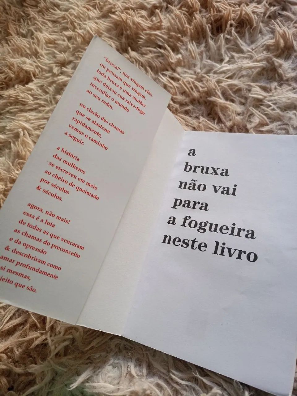 LIVROS: Amanda Lovelace - Foto 4