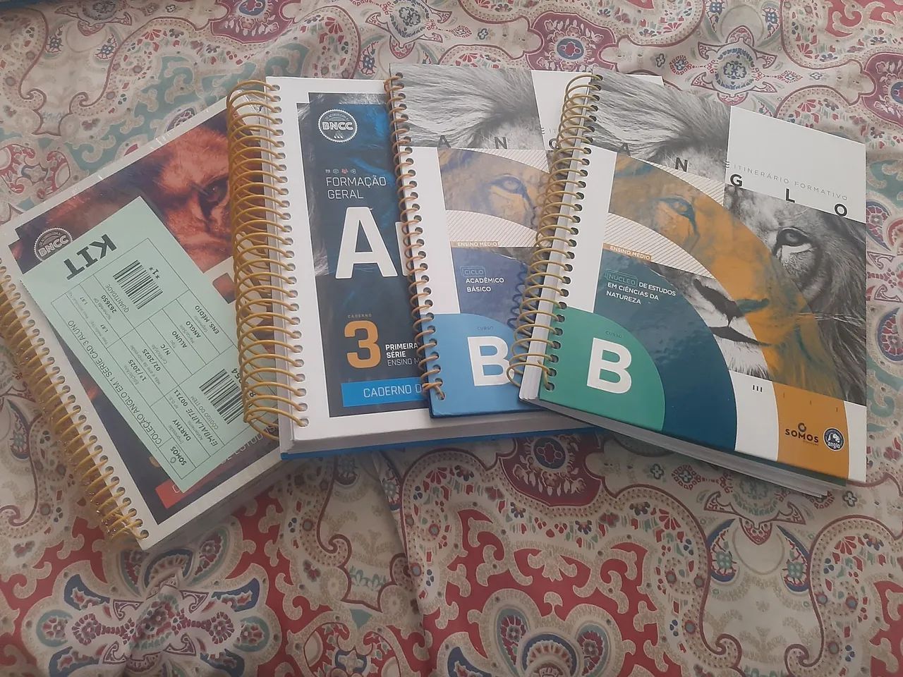 Módulos Anglo 1° Ano ensino médio  - Foto 3