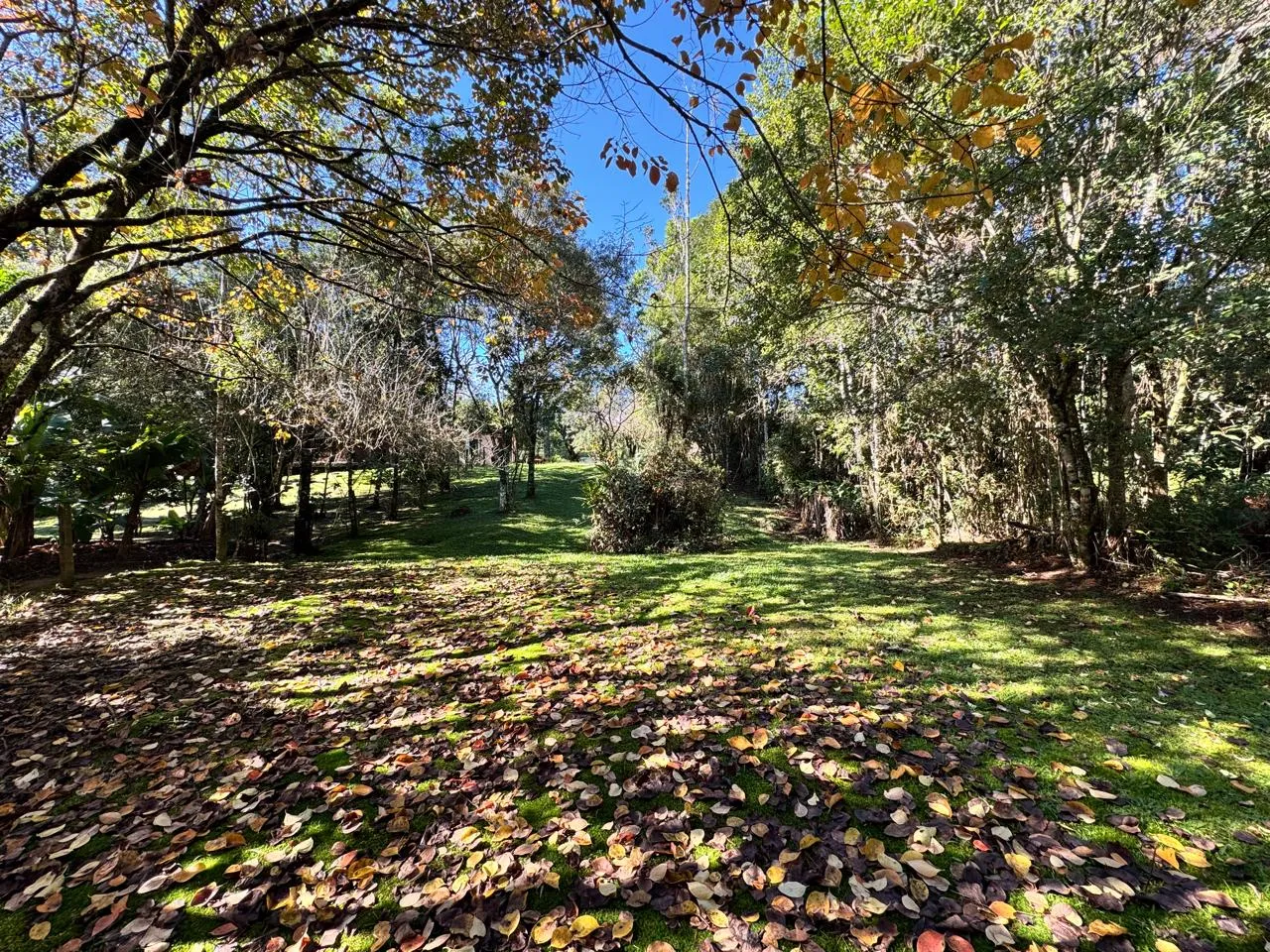 Belo Sitio na Vargem do Braço em Santo Amaro da Imperatriz - SC