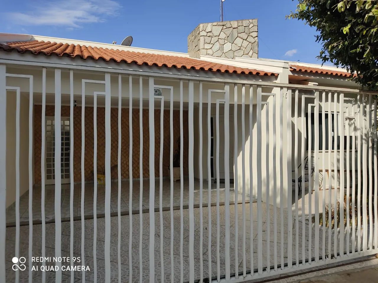 Foto - Dracena - Jardim das Palmeiras I