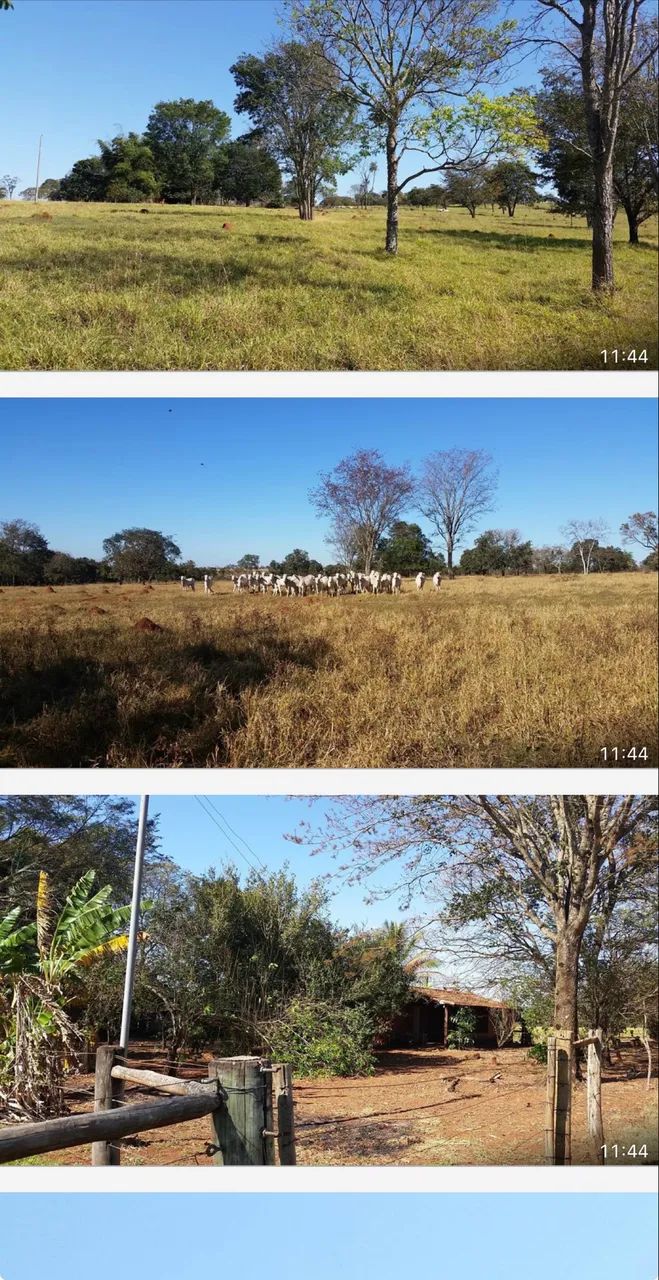 Fazenda próximo Uberlândia 80% aproveitamento  - Foto 4
