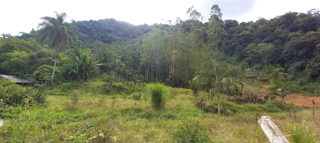 Terreno rural 20 mil m2