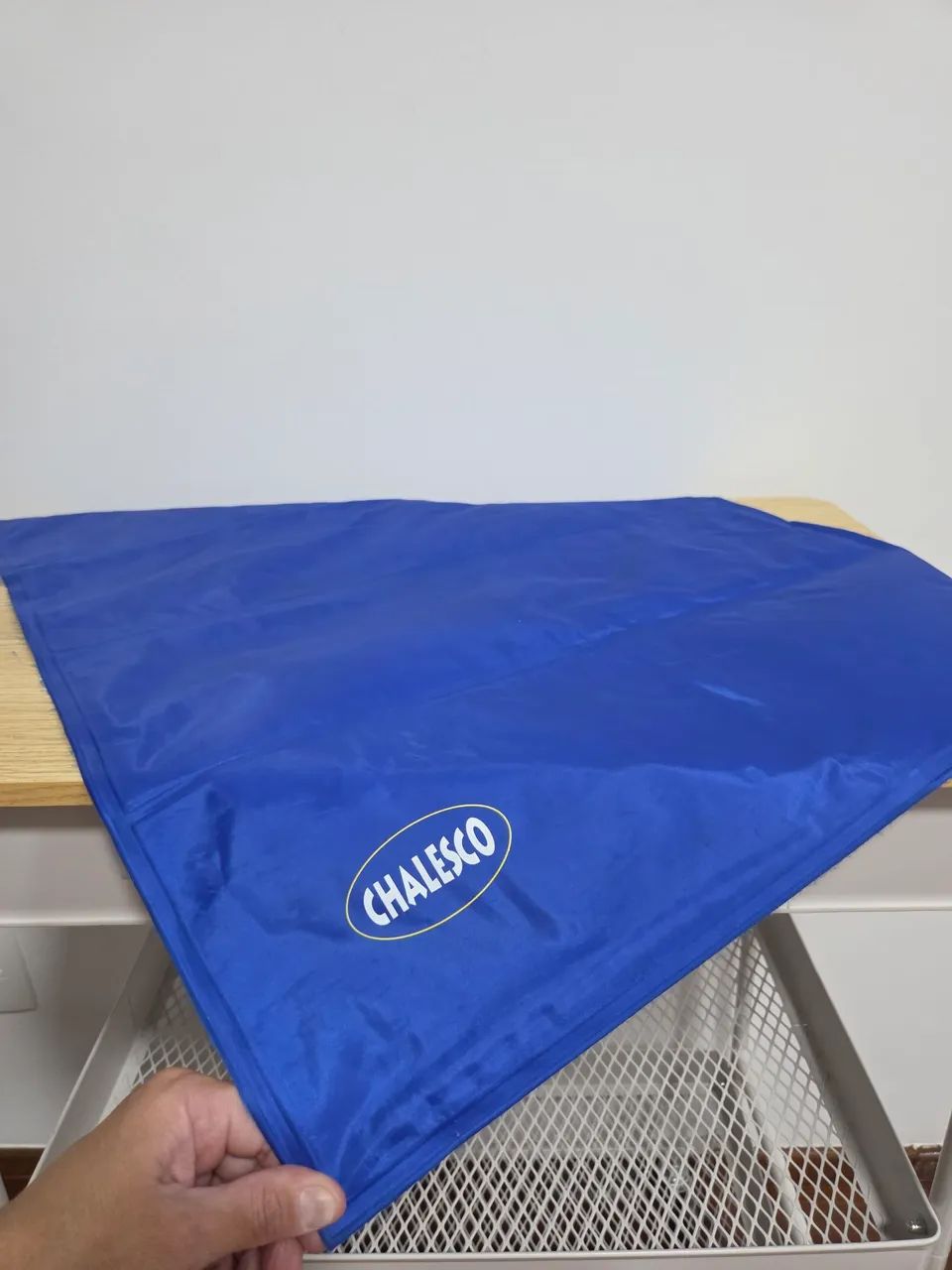 Tapete gelado da marca Chalesco para cães pets tamanho médio (50cm x 64cm) novo - Foto 4