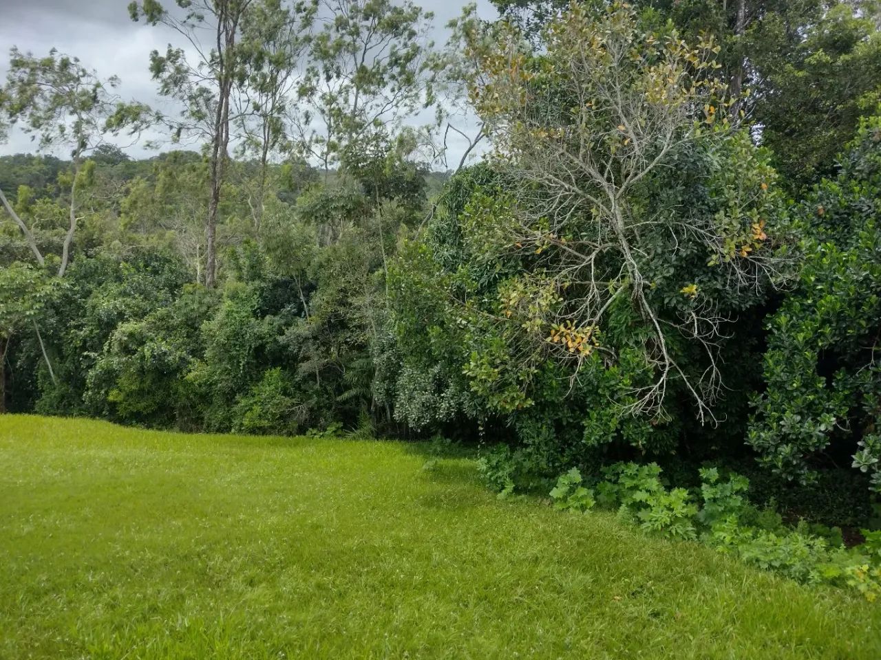 vende-se belíssima propriedade em aldeia!!!! também alugamos, podemos também alugar!. - Foto 11