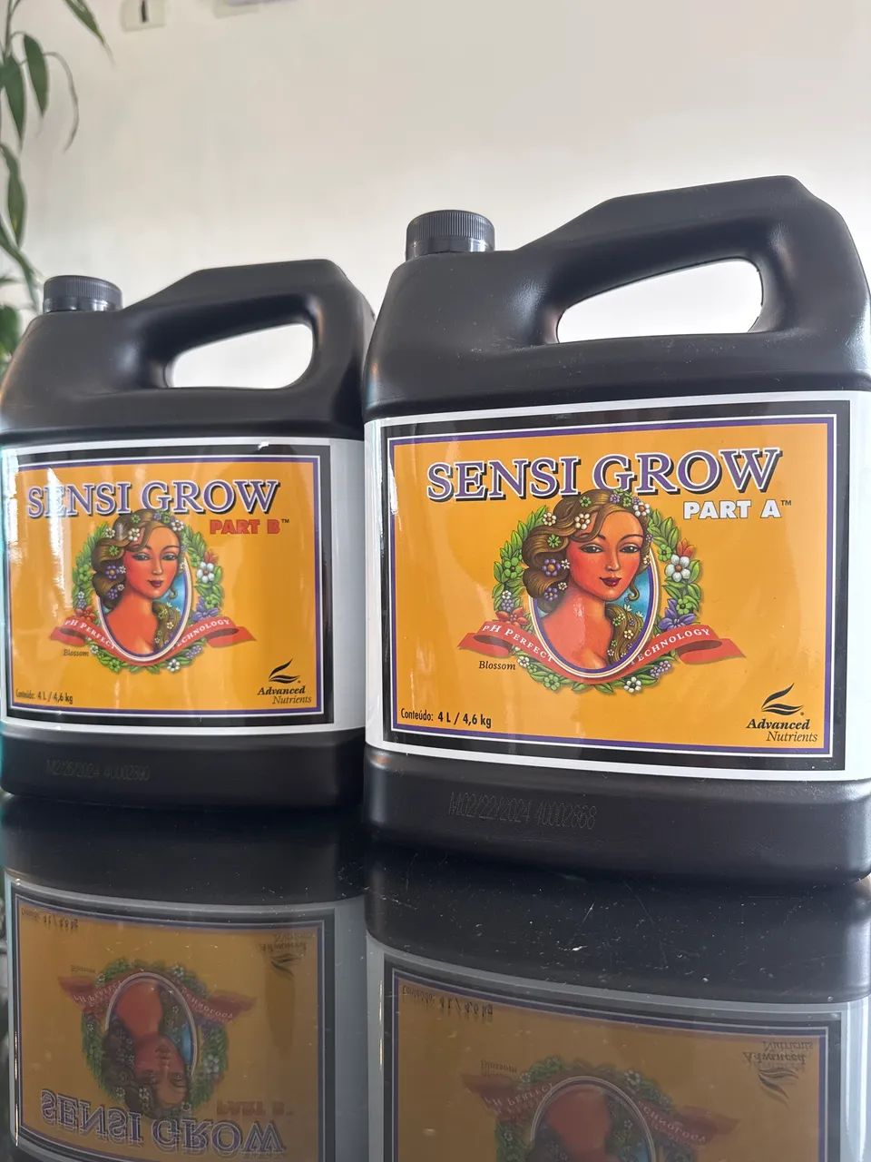 Advanced Nutrients A+B 4L - Foto 2