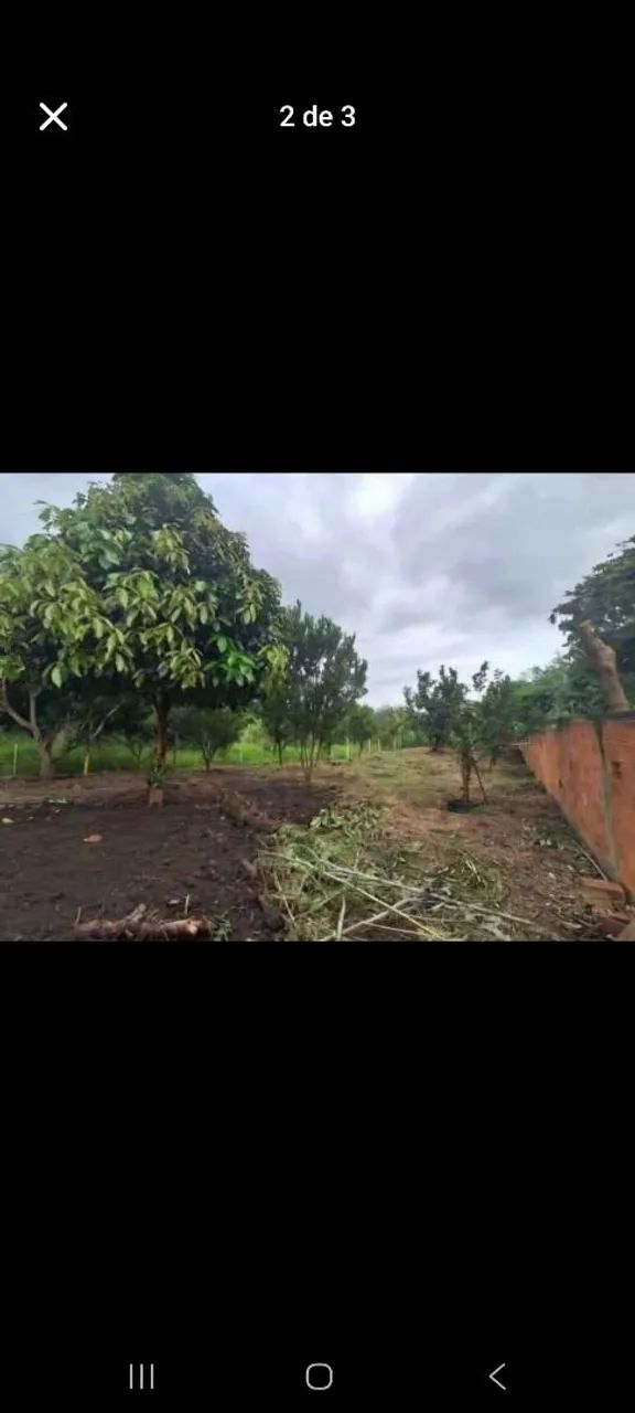 Terreno 360M² (Conceição de Macabu) - Foto 2