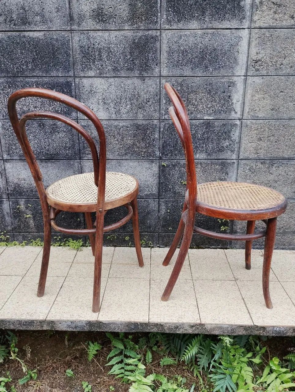 Cadeira Thonet  - Foto 3