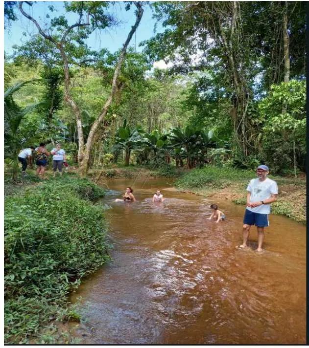 Sítio com 2 quartos, Centro, Juquiá - R$ 951 mil, Cod: 5081 - Foto 5