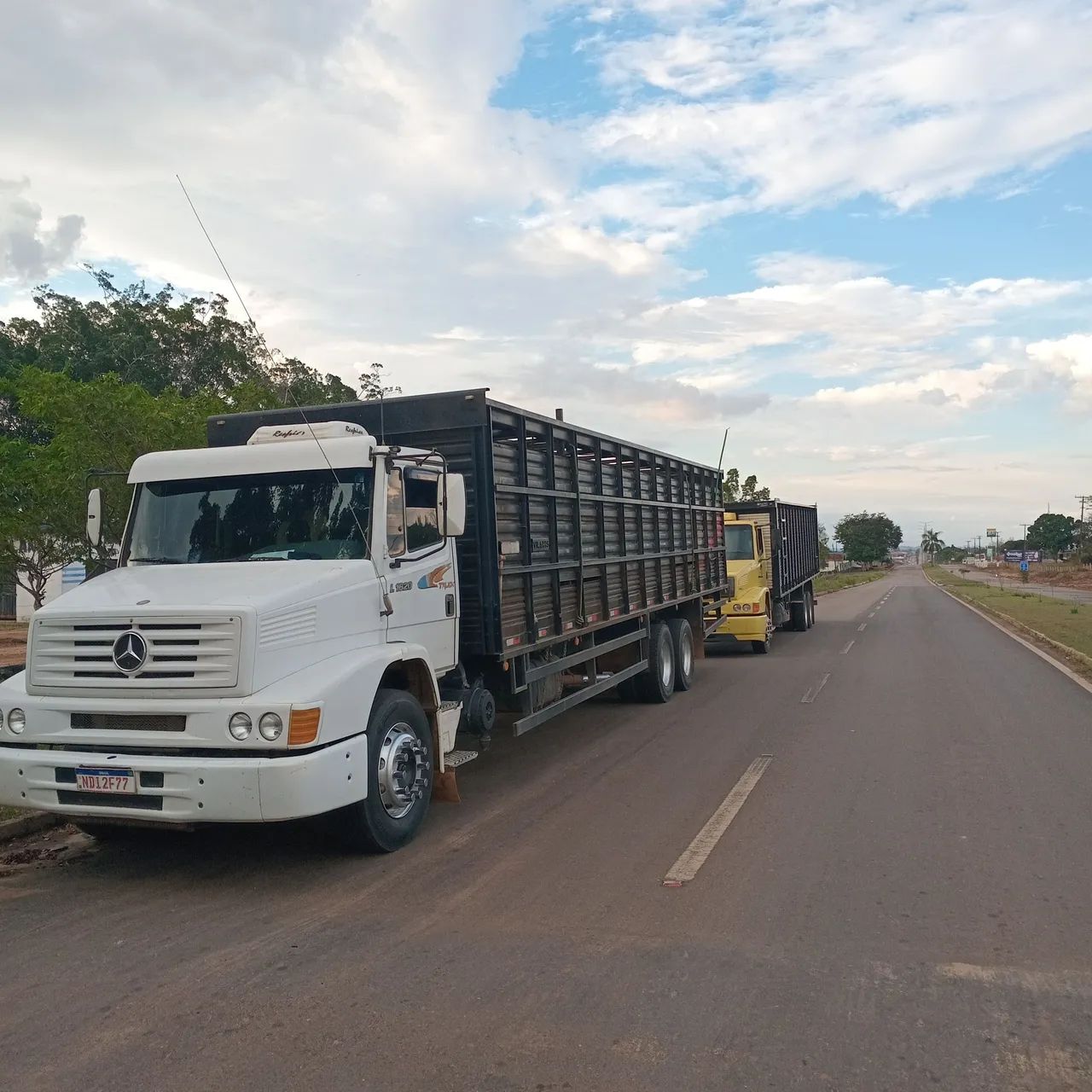 Boiadeiro a venda  - Foto 5