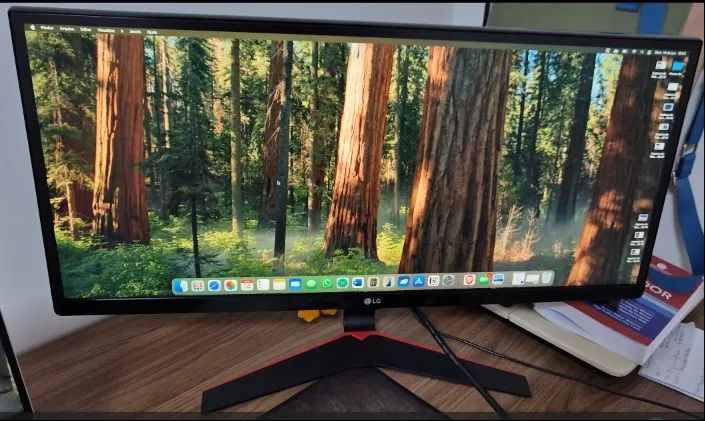 Monitor LG ultrawide 29 - Foto 2