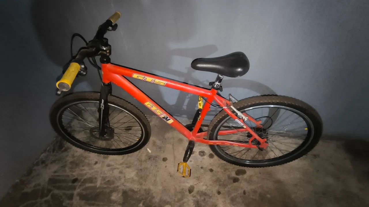 Bicicleta 