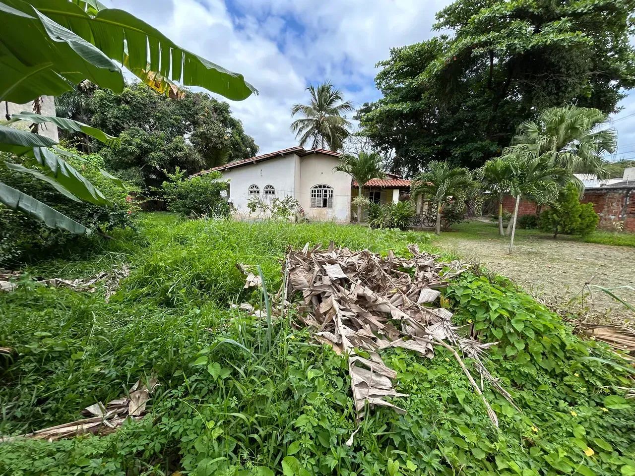 Venda - Terreno Plano | 1.200 M2 | Murado | Esquina | Abrantes - Foto 6