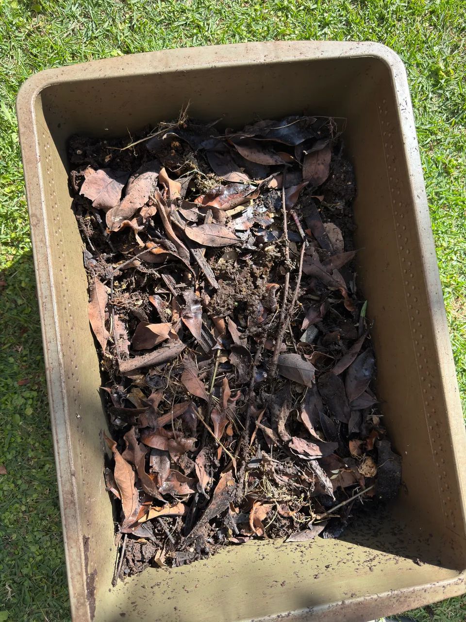 Adubo Compostagem 