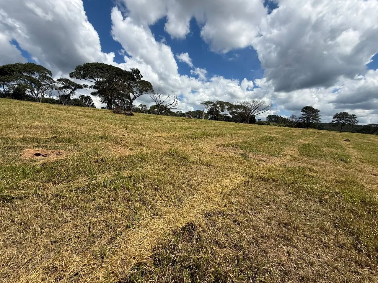 Terreno rural em itaguara  - Foto 5