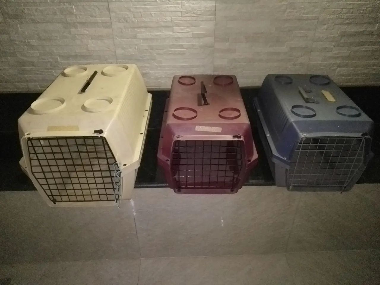 3 Caixas para transportar pets